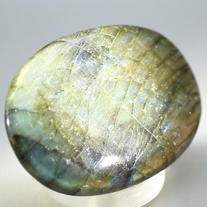 Labradorite Palmstone (Extra Grade) ~70 x 50mm