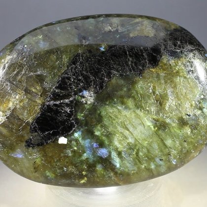 Labradorite Palmstone (Extra Grade) ~70x50mm