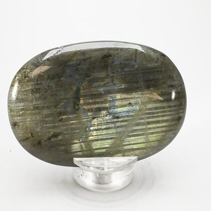 Labradorite Palmstone (Extra Grade) ~70x50mm