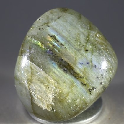 Labradorite Polished Stone ~35mm