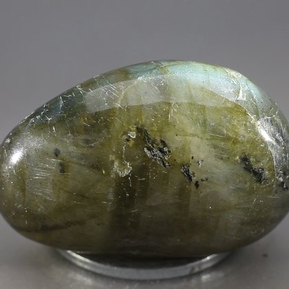 Labradorite Polished Stone ~35mm