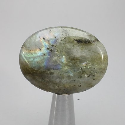 Labradorite Thumbstone ~40mm