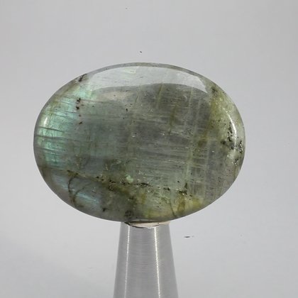 Labradorite Thumbstone ~40mm