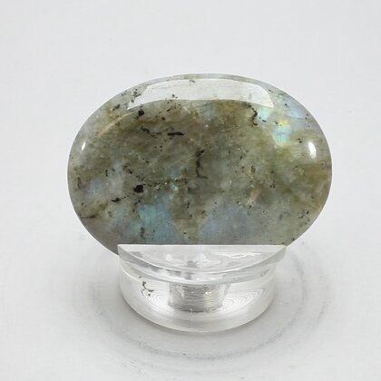 Labradorite Thumbstone(Extra Grade) ~40x30mm