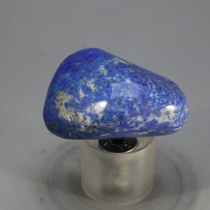Lapis Lazuli Tumblestone ~35mm