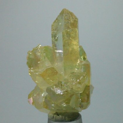 Lemon Gold Ultra Aura Quartz Healing Crystal ~52mm