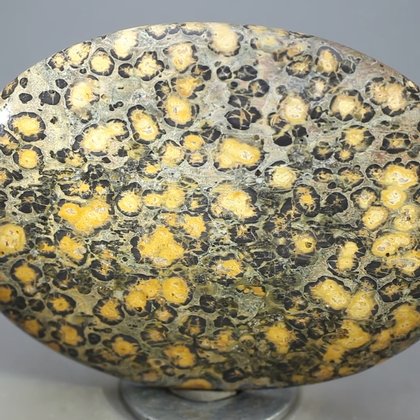 Leopard Skin Jasper Palmstone (Extra Grade) ~70x50mm