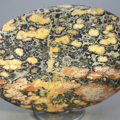 Leopard Skin Jasper Palmstone (Extra Grade) ~70x50mm