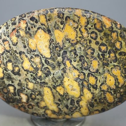 Leopard Skin Jasper Palmstone (Extra Grade) ~70x50mm