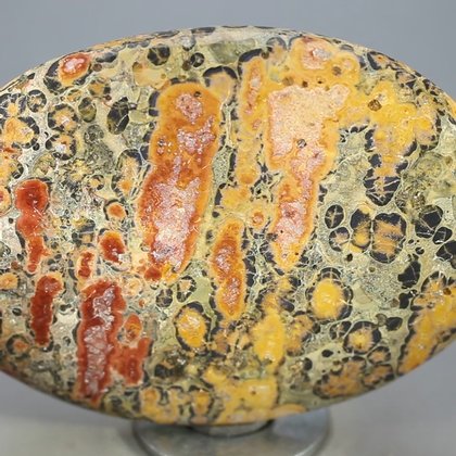 Leopard Skin Jasper Palmstone (Extra Grade) ~70x50mm