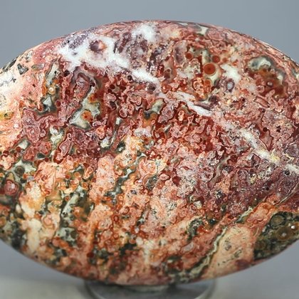 Leopard Skin Jasper Palmstone (Extra Grade) ~70x50mm