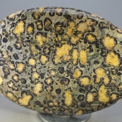 Leopard Skin Jasper Palmstone (Extra Grade) ~70x50mm