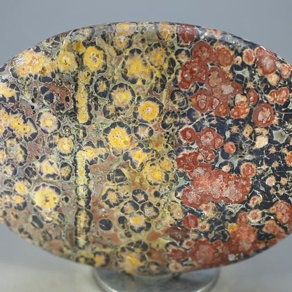 Leopard Skin Jasper Palmstone (Extra Grade) ~70x50mm