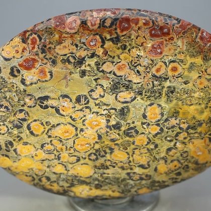 Leopard Skin Jasper Palmstone (Extra Grade) ~70x50mm