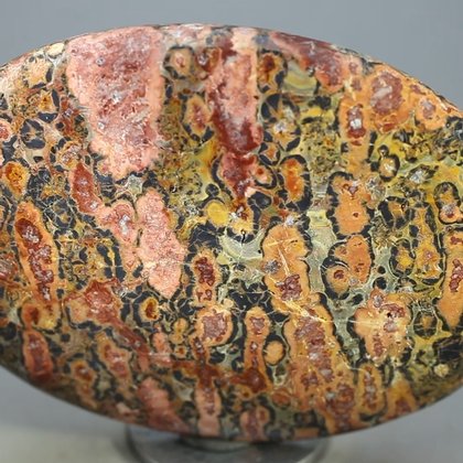 Leopard Skin Jasper Palmstone (Extra Grade) ~70x50mm