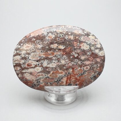 Leopard Skin Jasper Palmstone (Extra Grade) ~70x50mm