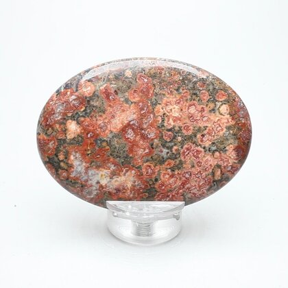 Leopard Skin Jasper Palmstone (Extra Grade) ~70x50mm
