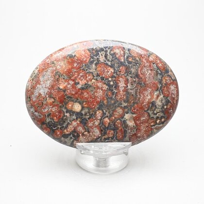 Leopard Skin Jasper Palmstone (Extra Grade) ~70x50mm