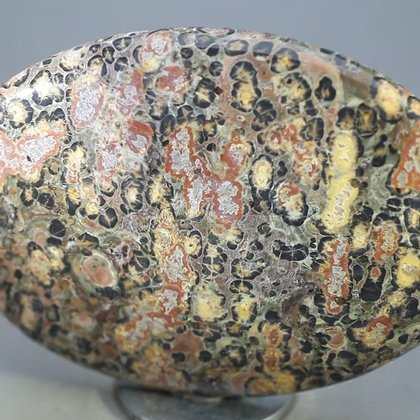 Leopard Skin Jasper Palmstone (Extra Grade) ~70x50mm