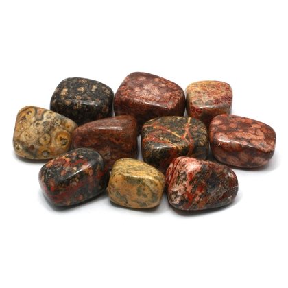 Leopard Skin Jasper Tumble Stone (20-25mm)