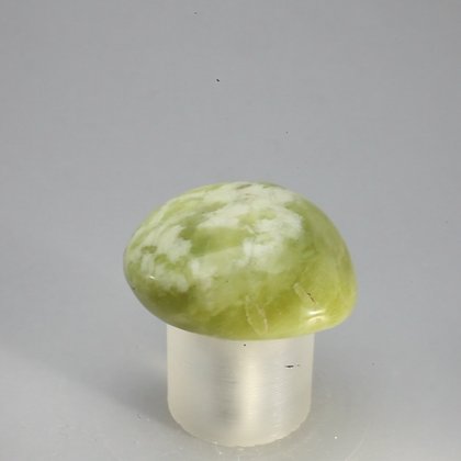 Lizardite Tumblestone ~29mm
