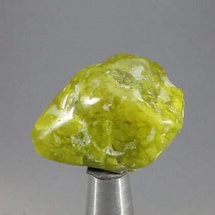 Lizardite Tumblestone ~35mm