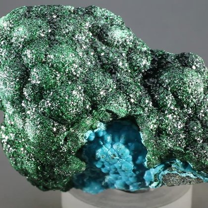 Malachite & Chrysocolla Mineral Specimen ~64mm