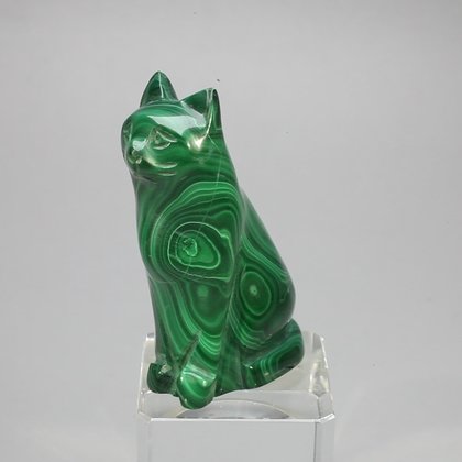 Malachite Crystal Cat  ~49x33mm