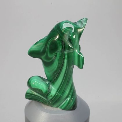 Malachite Crystal Dolphin ~46x26mm