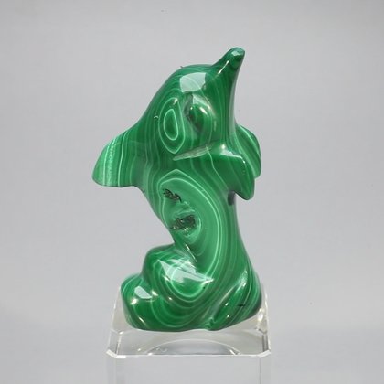 Malachite Crystal Dolphin ~52x31mm