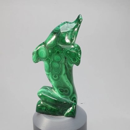 Malachite Crystal Dolphin ~62X26mm