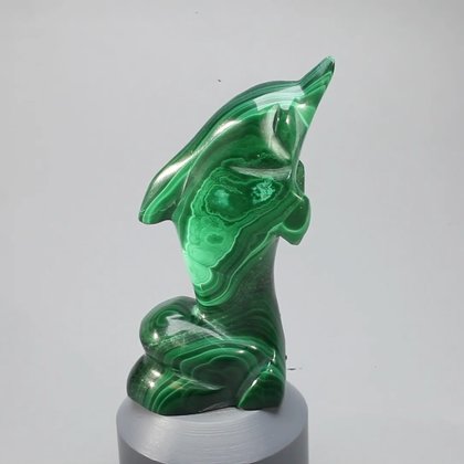 Malachite Crystal Dolphin ~62X28mm