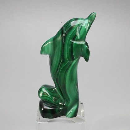 Malachite Crystal Dolphin ~63x35mm