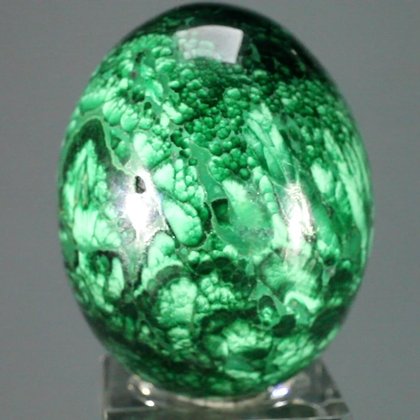 STUNNING Malachite Crystal Egg ~49mm