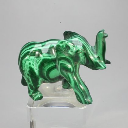 Malachite Crystal Elephant ~47x36mm