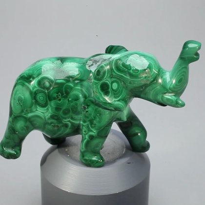 Malachite Crystal Elephant ~57x37mm