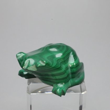 Malachite Crystal Frog ~42x20mm