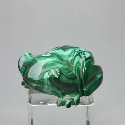 Malachite Crystal Frog ~44x20mm