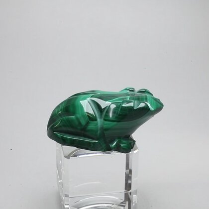Malachite Crystal Frog ~49x26mm
