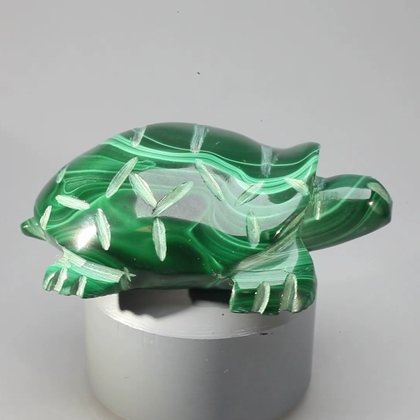 Malachite Crystal Turtle ~17X54mm
