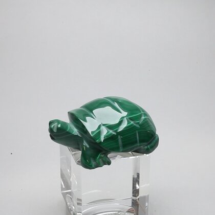 Malachite Crystal Turtle ~46x30mm