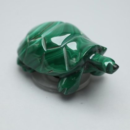 Malachite Crystal Turtle ~52x33mm