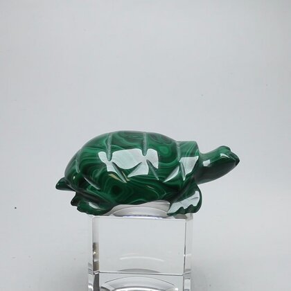 Malachite Crystal Turtle ~54x31mm