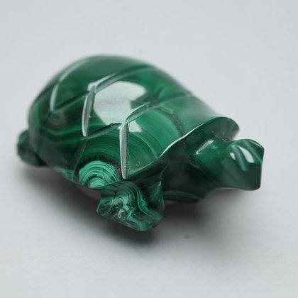 Malachite Crystal Turtle ~54x33mm