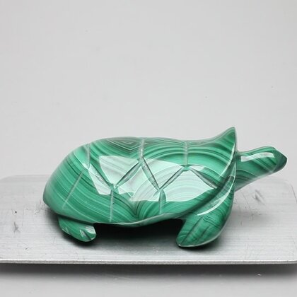 Malachite Crystal Turtle ~35x57mm