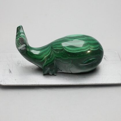Malachite Crystal Whale ~52x29mm