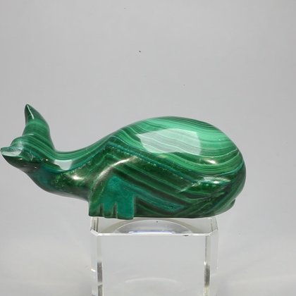 Malachite Crystal Whale ~55x22mm