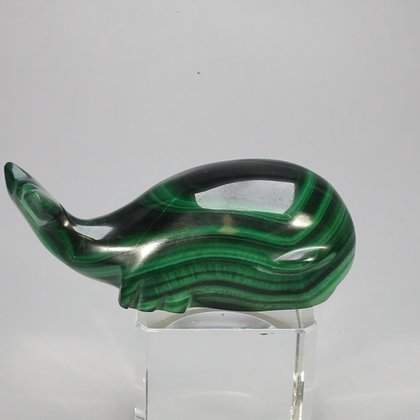 Malachite Crystal Whale ~60x22mm