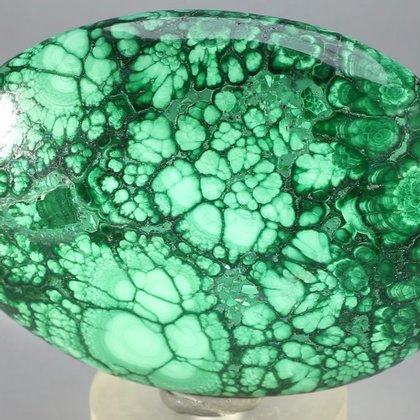 Malachite Palmstone (Extra Grade) ~70x50mm