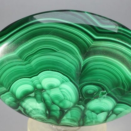 Malachite Palmstone (Extra Grade) ~70x50mm